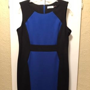 Calvin Klein Sheath Dress - Blue and Black